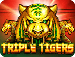 Triple Tigers