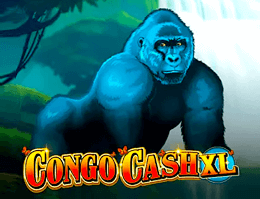 Congo Cash XL